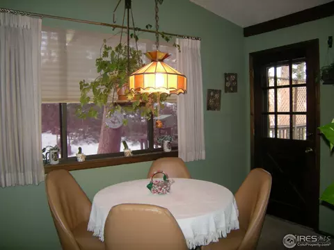677 Deer Ln, Lyons, CO 80540 photo 19