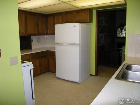 677 Deer Ln, Lyons, CO 80540 photo 11