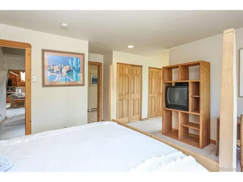 26 Raspberry Ln, Silverthorne, CO 80498 photo 21