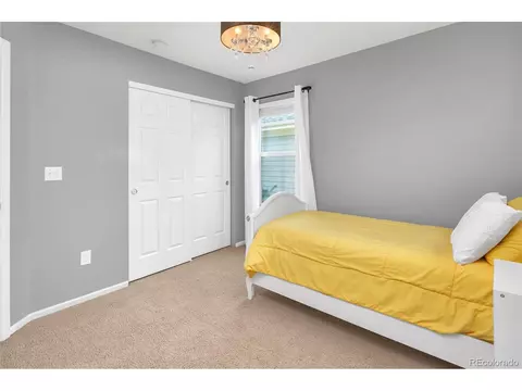 8874 E 29th Pl, Denver, CO 80238 photo 23