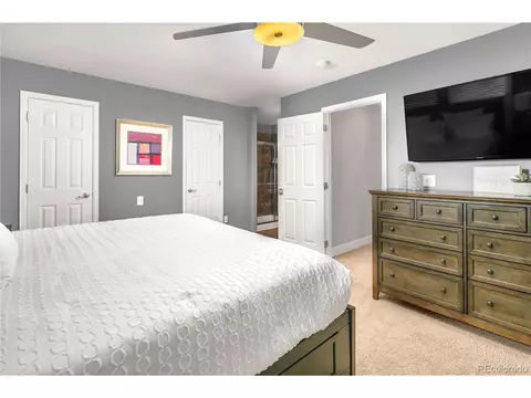 8874 E 29th Pl, Denver, CO 80238 photo 20