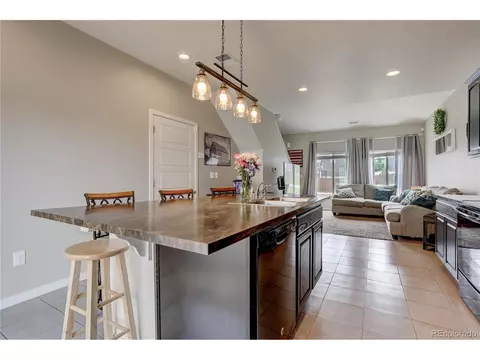 20053 E 48th Dr, Denver, CO 80249 photo 8