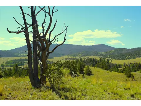 Undisclosed, Guffey, CO 80820 photo 3