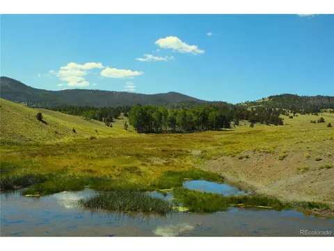 Undisclosed, Guffey, CO 80820 photo 11