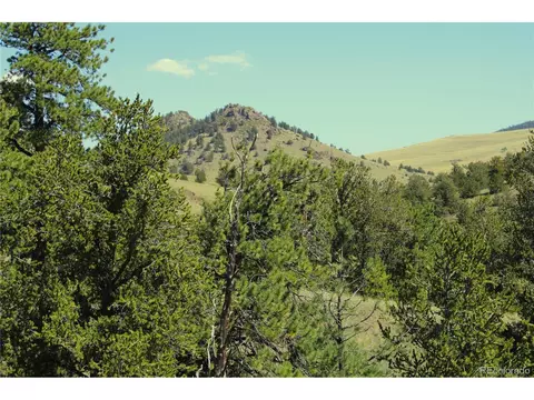 Undisclosed, Guffey, CO 80820 photo 16