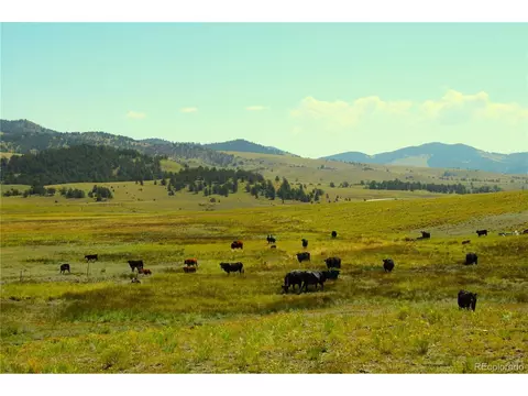 Undisclosed, Guffey, CO 80820 photo 15