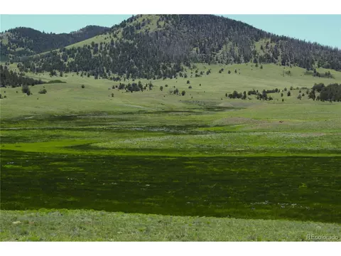 Undisclosed, Guffey, CO 80820 photo 4