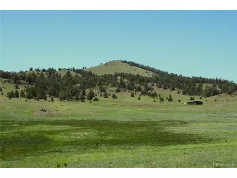 Undisclosed, Guffey, CO 80820 photo 17
