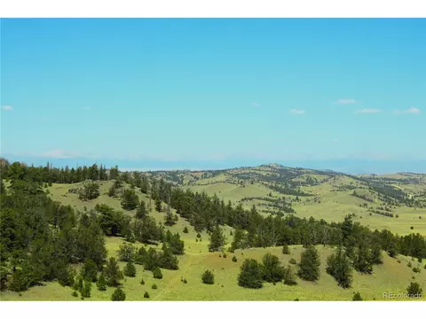 Undisclosed, Guffey, CO 80820 photo 10