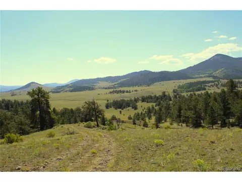 Undisclosed, Guffey, CO 80820 photo 5