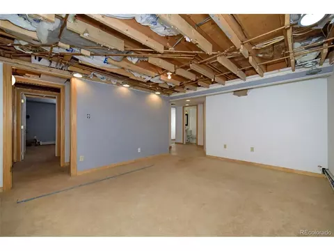 35 Horseshoe Dr, Divide, CO 80814 photo 28