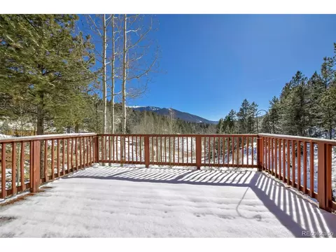 35 Horseshoe Dr, Divide, CO 80814 photo 12