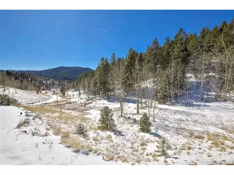 35 Horseshoe Dr, Divide, CO 80814 photo 2