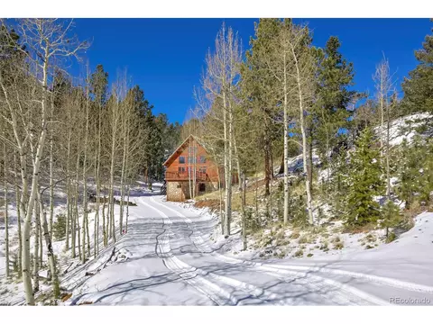 35 Horseshoe Dr, Divide, CO 80814 photo 3