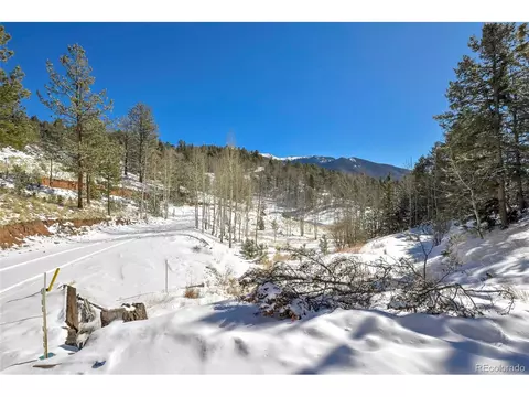 35 Horseshoe Dr, Divide, CO 80814 photo 5