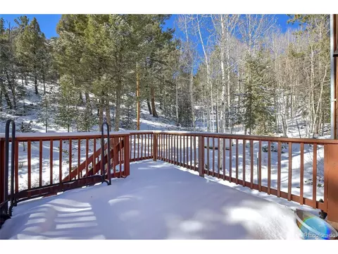 35 Horseshoe Dr, Divide, CO 80814 photo 9