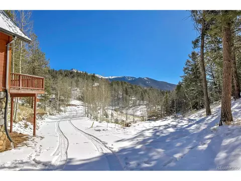 35 Horseshoe Dr, Divide, CO 80814 photo 8