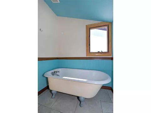 35 Horseshoe Dr, Divide, CO 80814 photo 26