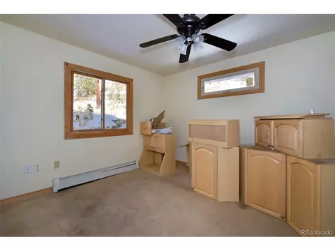 35 Horseshoe Dr, Divide, CO 80814 photo 18