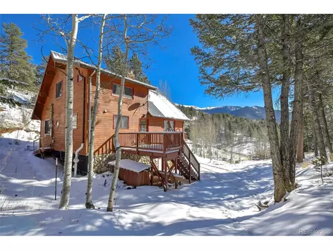 35 Horseshoe Dr, Divide, CO 80814 photo 7