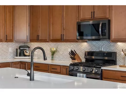 76 Simmental Loop, Castle Rock, CO 80104 photo 8