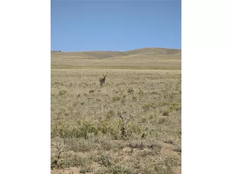 527 Cochiti Rd, Hartsel, CO 80449