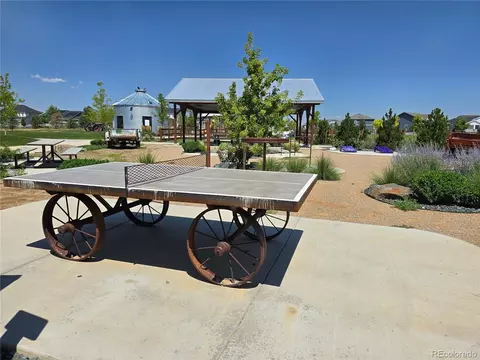 2102 Setting Sun Dr #5, Windsor, CO 80550 photo 39