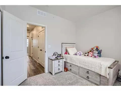 2102 Setting Sun Dr #5, Windsor, CO 80550 photo 20