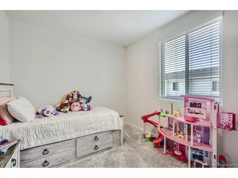 2102 Setting Sun Dr #5, Windsor, CO 80550 photo 19