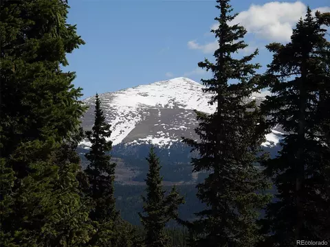 306 Grizzly Dr, Fairplay, CO 80440