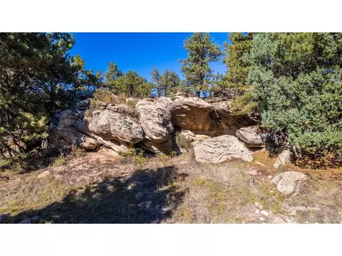 21196 Red Cloud Rdg, Elbert, CO 80106 photo 30
