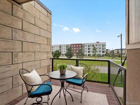 8963 E Northfield Blvd, Denver, CO 80238 photo 9