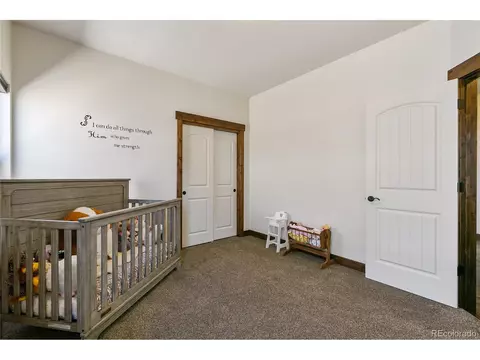 5424 Long Dr, Timnath, CO 80547 photo 20