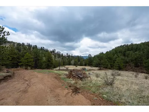 14272 Jubilee Trl, Pine, CO 80470 photo 11
