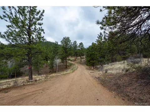 14272 Jubilee Trl, Pine, CO 80470 photo 9