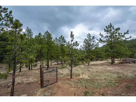14272 Jubilee Trl, Pine, CO 80470 photo 14