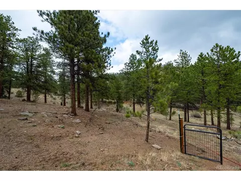 14272 Jubilee Trl, Pine, CO 80470 photo 13