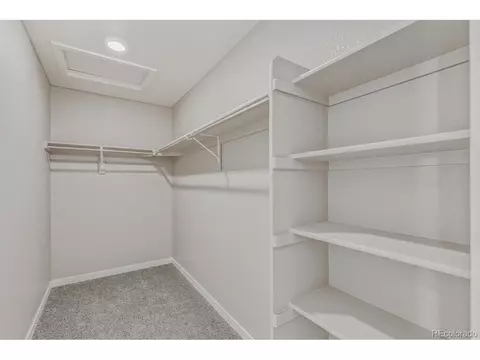 1264 Wild Basin Rd, Windsor, CO 80550 photo 22