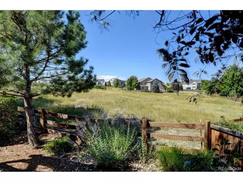 3325 Falling Star Pl, Castle Rock, CO 80108
