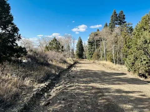184 Cedar Ridge Rd, Mosca, CO 81146 photo 6