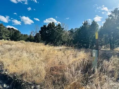 184 Cedar Ridge Rd, Mosca, CO 81146 photo 5