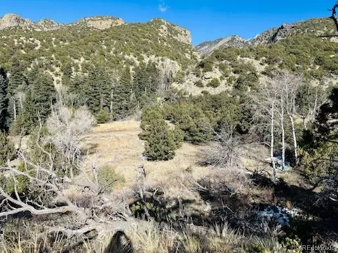 184 Cedar Ridge Rd, Mosca, CO 81146