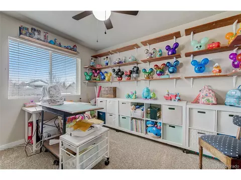 314 Brophy Ct, Frederick, CO 80530 photo 20