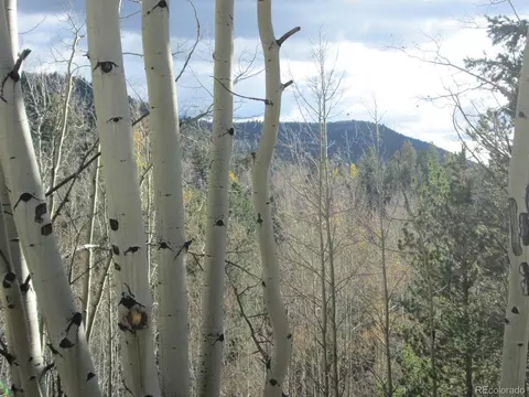 6683 Sangre De Cristo Rnch, Fort Garland, CO 81133