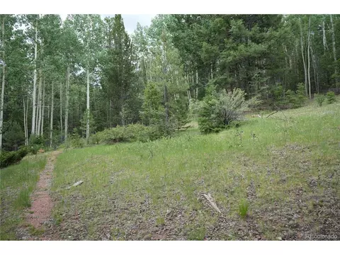 1406 Monarch Dr, Cripple Creek, CO 80813