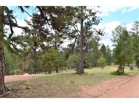698 Pinewood Rd, Florissant, CO 80816