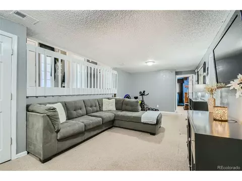 2540 E 100th Way, Thornton, CO 80229 photo 22