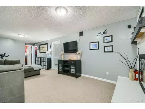 2540 E 100th Way, Thornton, CO 80229 photo 23