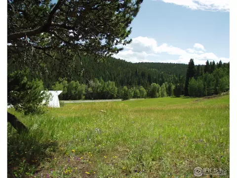 48013 Highway 72, Ward, CO 80481 photo 6