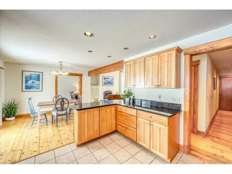 65 Landon Ln, Dillon, CO 80435 photo 11